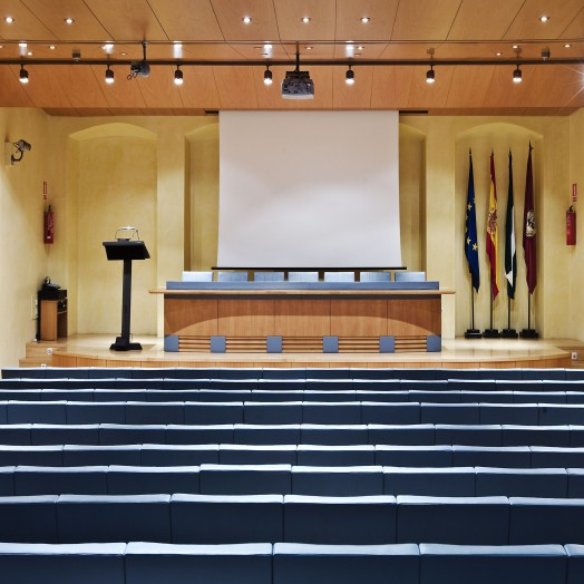 Sala de Conferencias 1